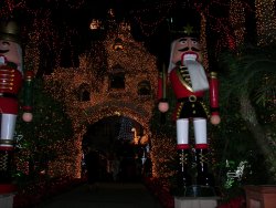 Nutcracker
